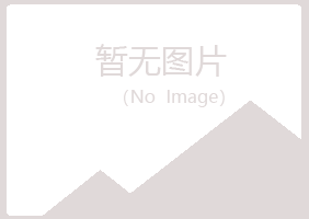 鹤山区觅波会计有限公司